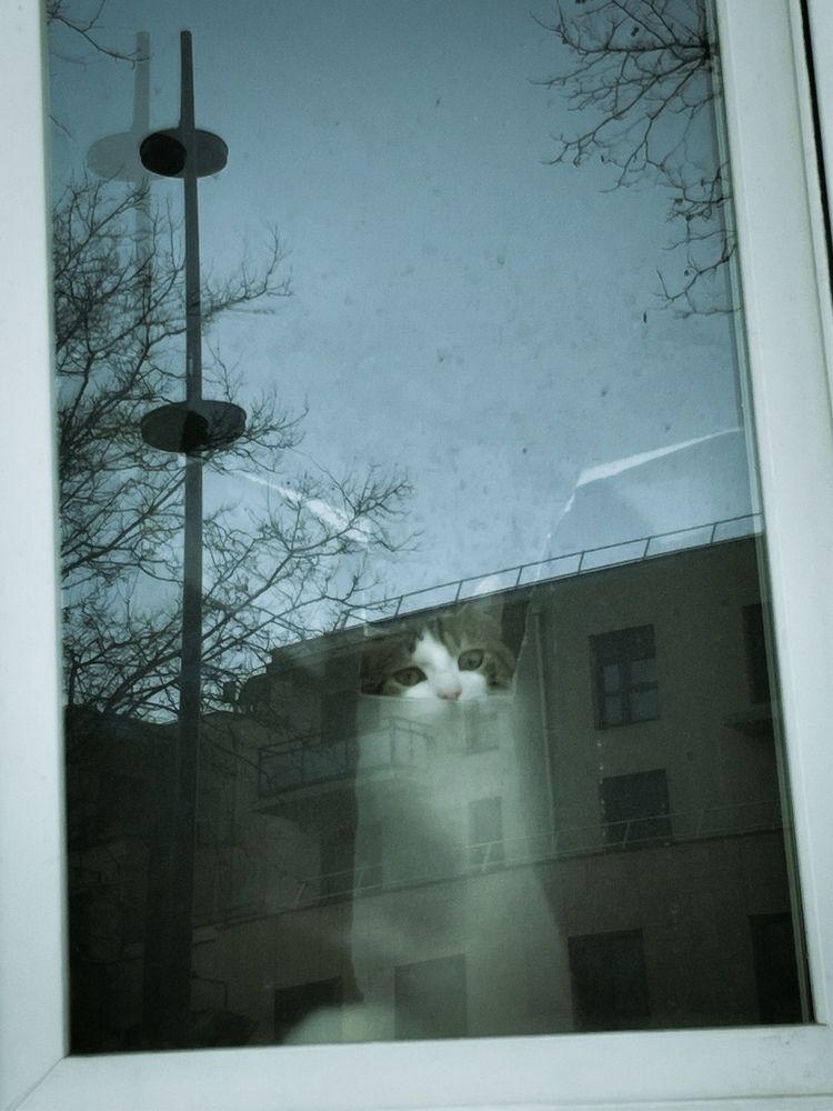 Photograph by Gaukhar