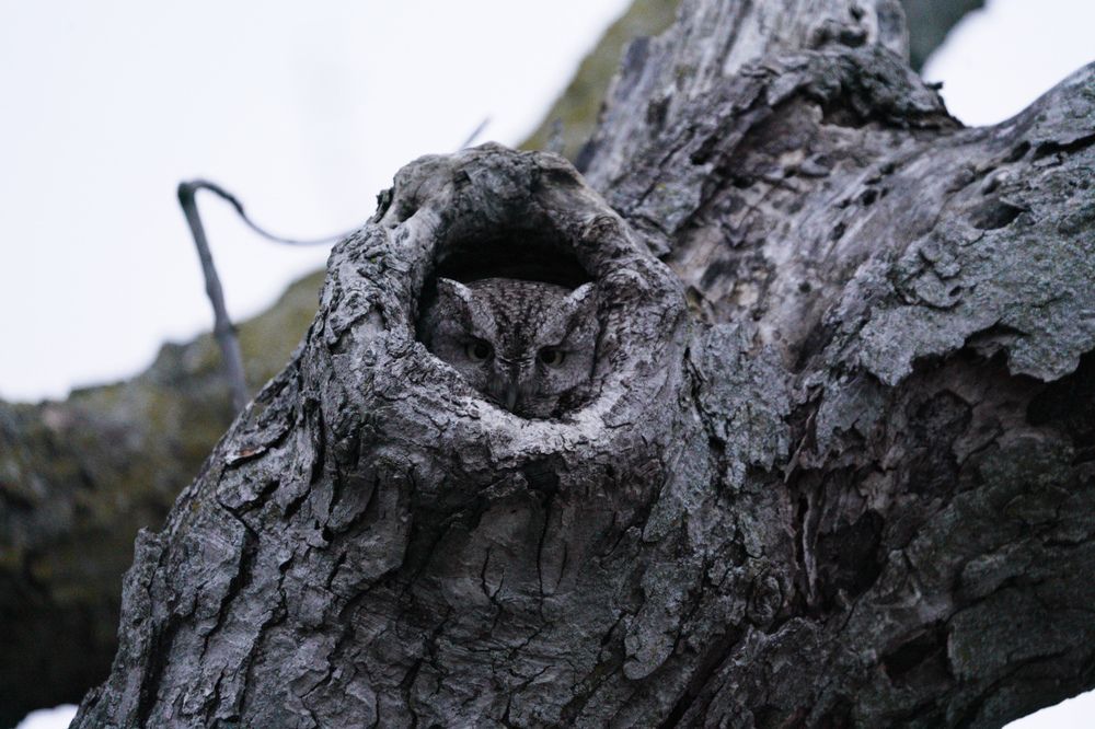 Photograph by Tyler Dewees