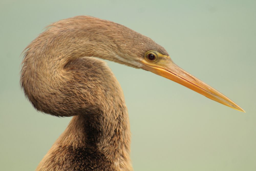 Photograph by Ricardo Venerando