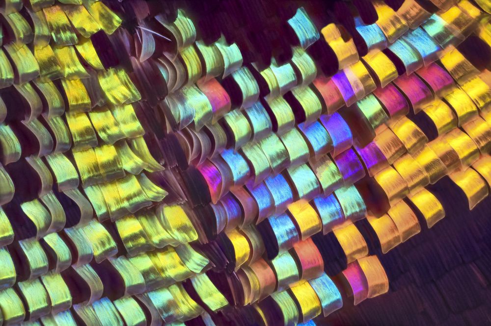 Photograph by Ángel Navarro