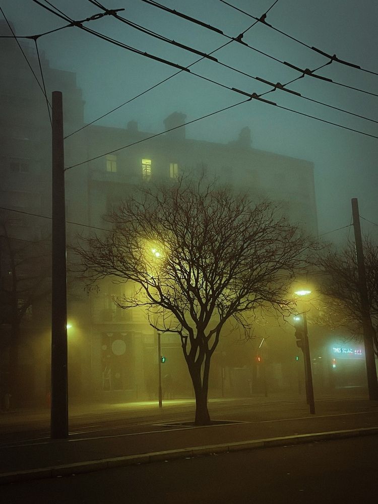Photograph by Gaukhar