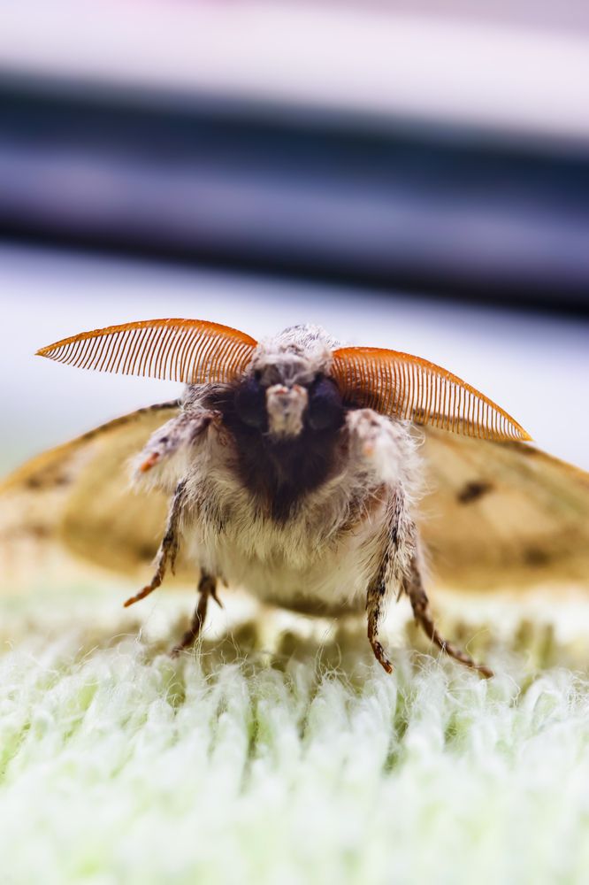 Photograph by Людмила Казак