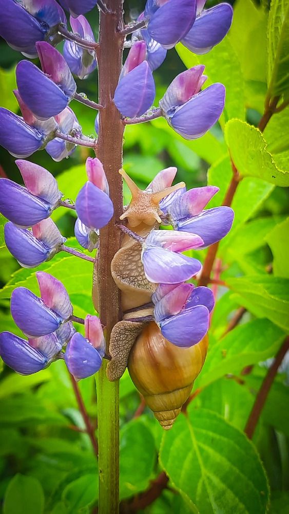 Photograph by Татьяна Кириллова