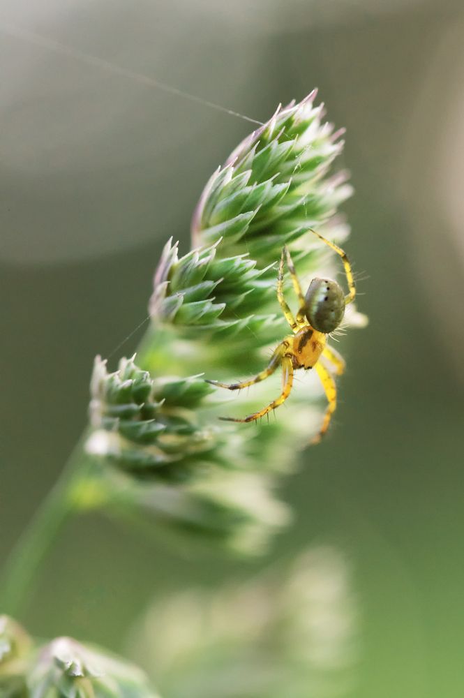 Photograph by Светлана Андреева