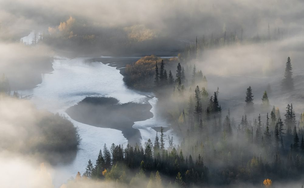 Photograph by Tatiana Meshcheryakova