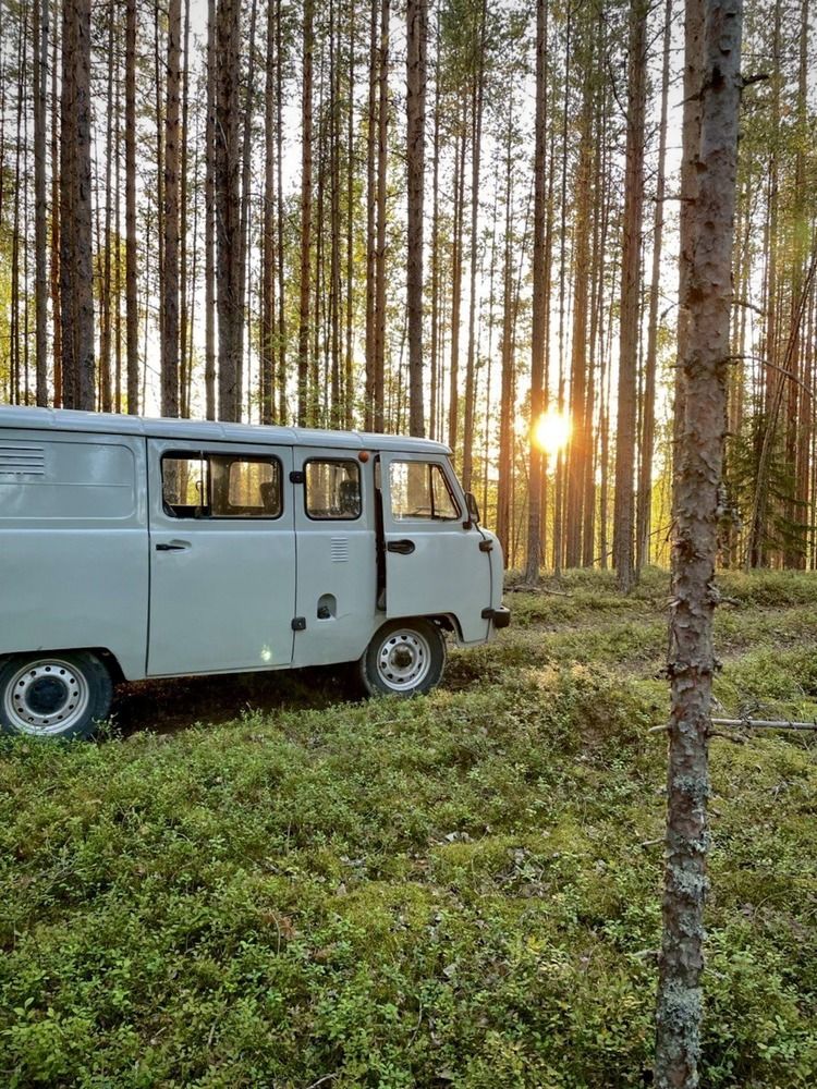 Photograph by Анастасия Рыжакова