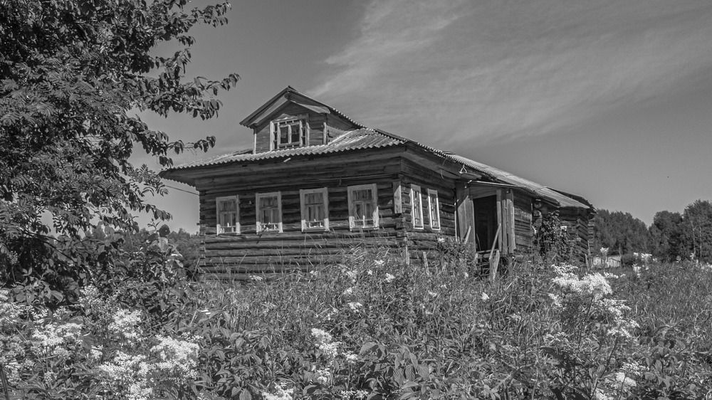 Photograph by Александр Довганюк
