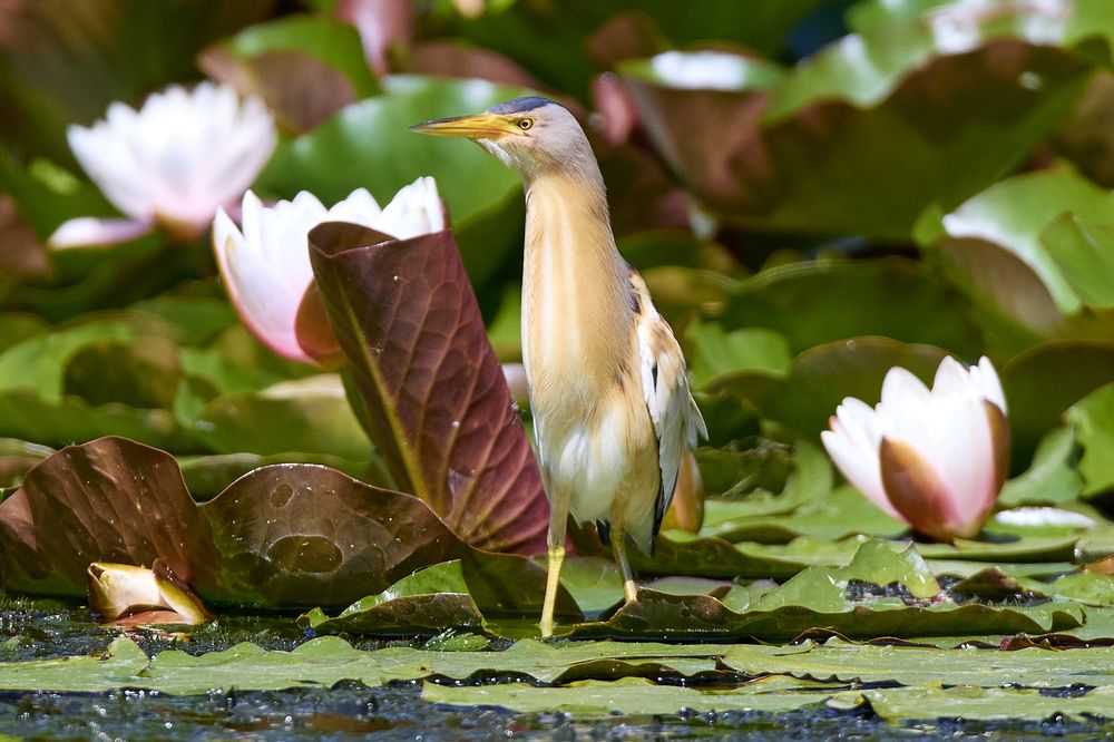Photograph by Илья Шишков