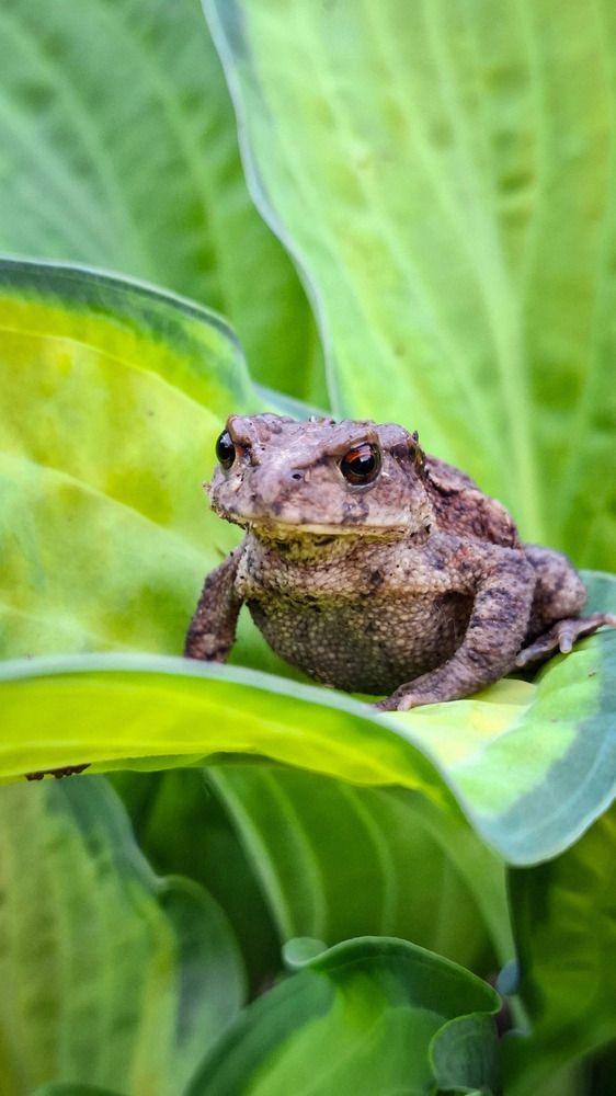 Photograph by Татьяна Кириллова