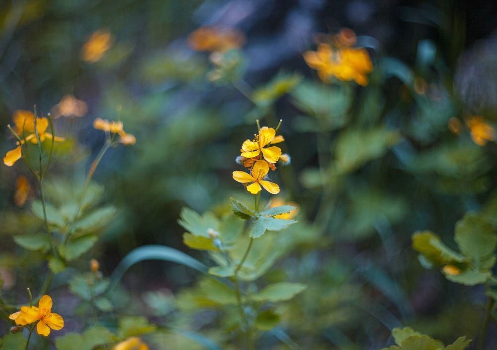 Photograph by Ткачёв Владимир