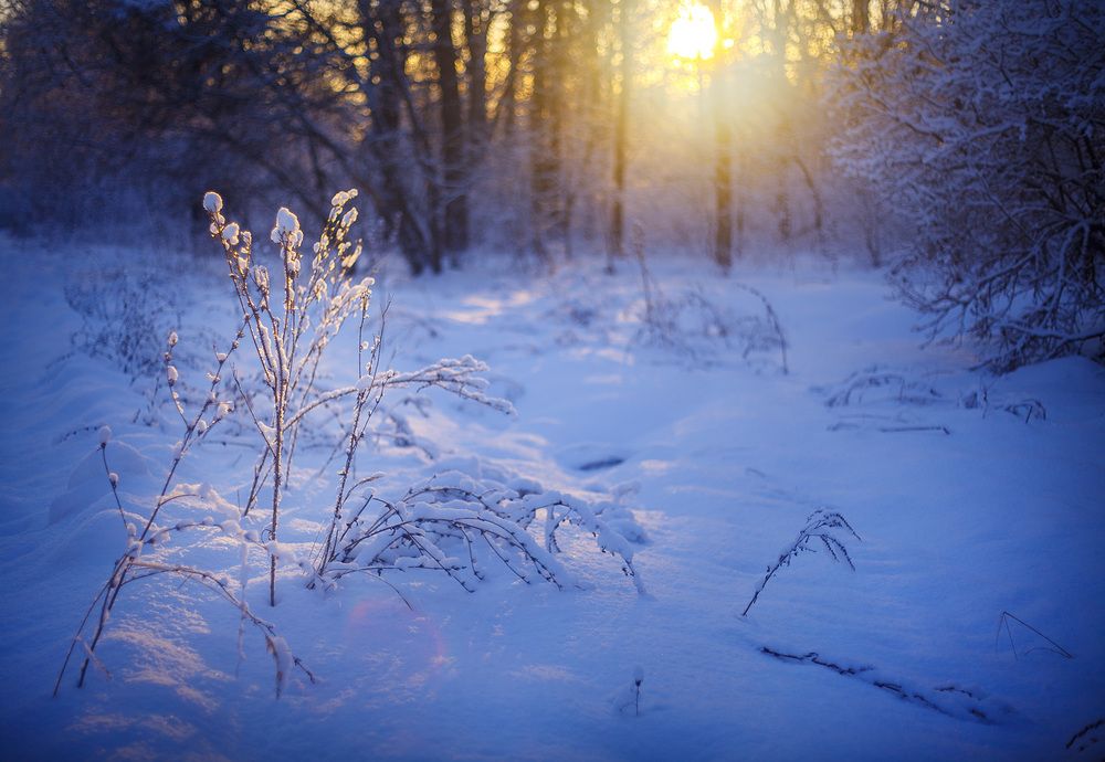 Photograph by Ткачёв Владимир