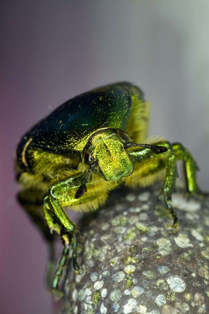 Photograph by Илья Шишков