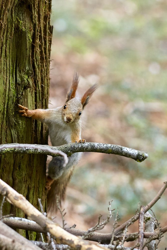 Photograph by Илья Шишков