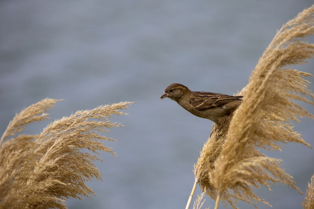 Photograph by Илья Шишков