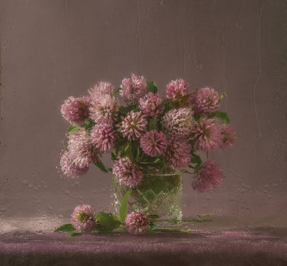 Photograph by Елена Каспрук