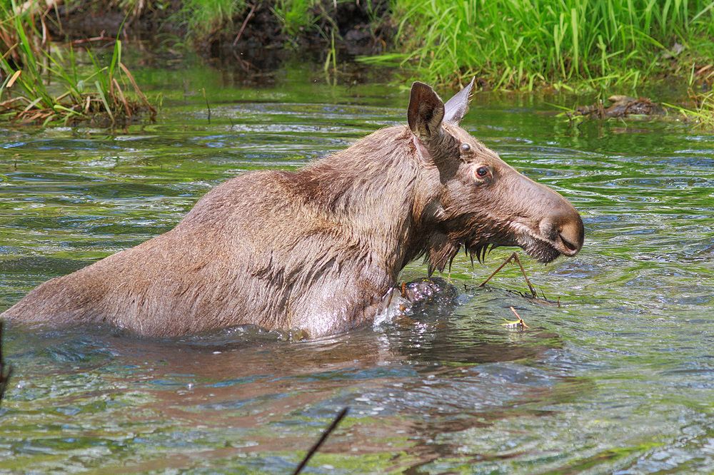 Фотография автора Михаил Крюков