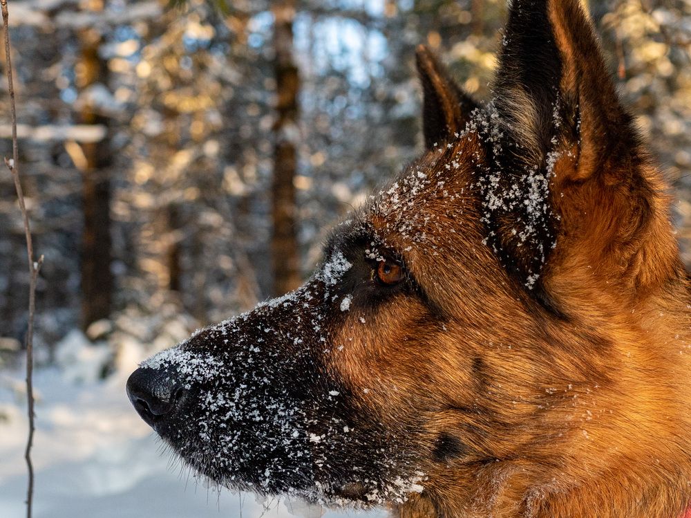 Photograph by Ольга Адольф