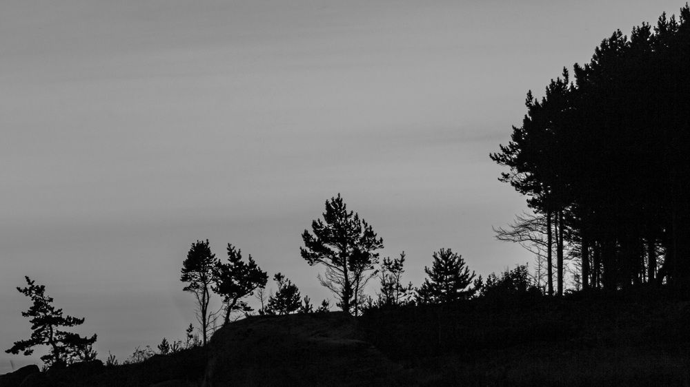 Photograph by Александр Довганюк
