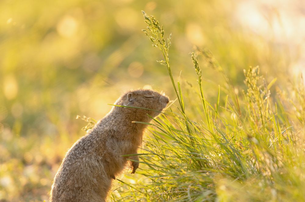 Photograph by Светлана Андреева