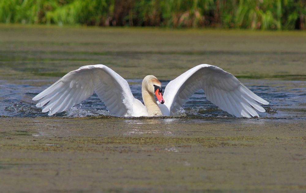 Фотография автора Михаил Крюков