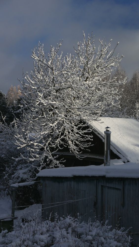 Photograph by Елена Агапкина