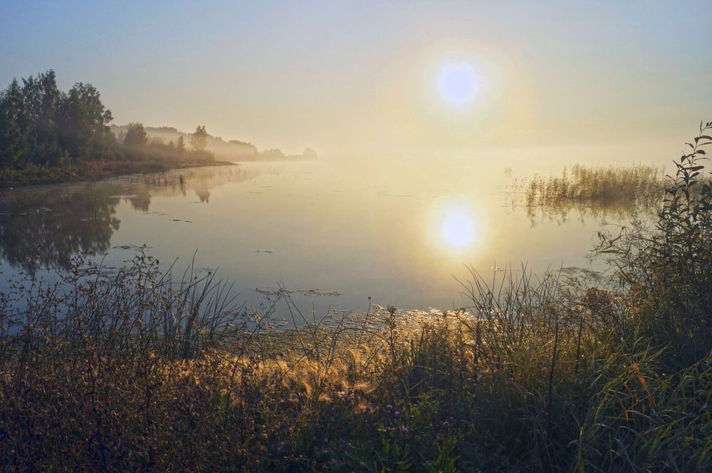 Photograph by Мишустина Татьяна