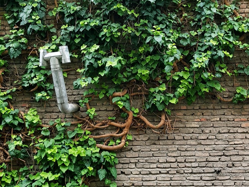 Photograph by MM Khojasteh