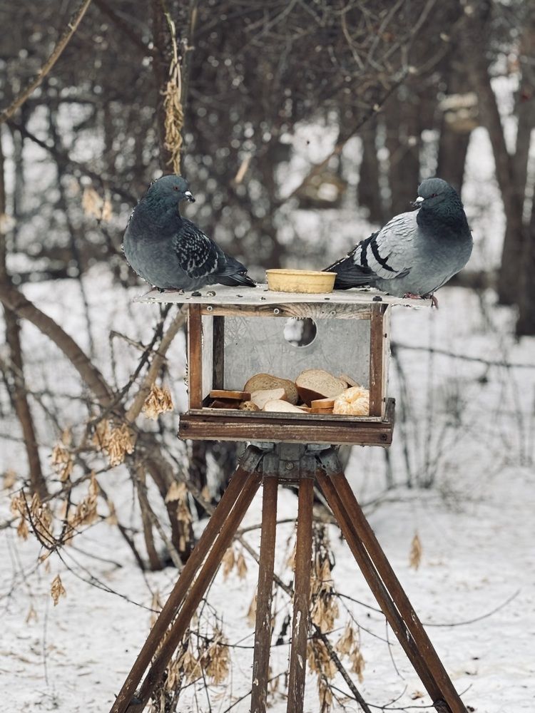 Сладкая парочка)