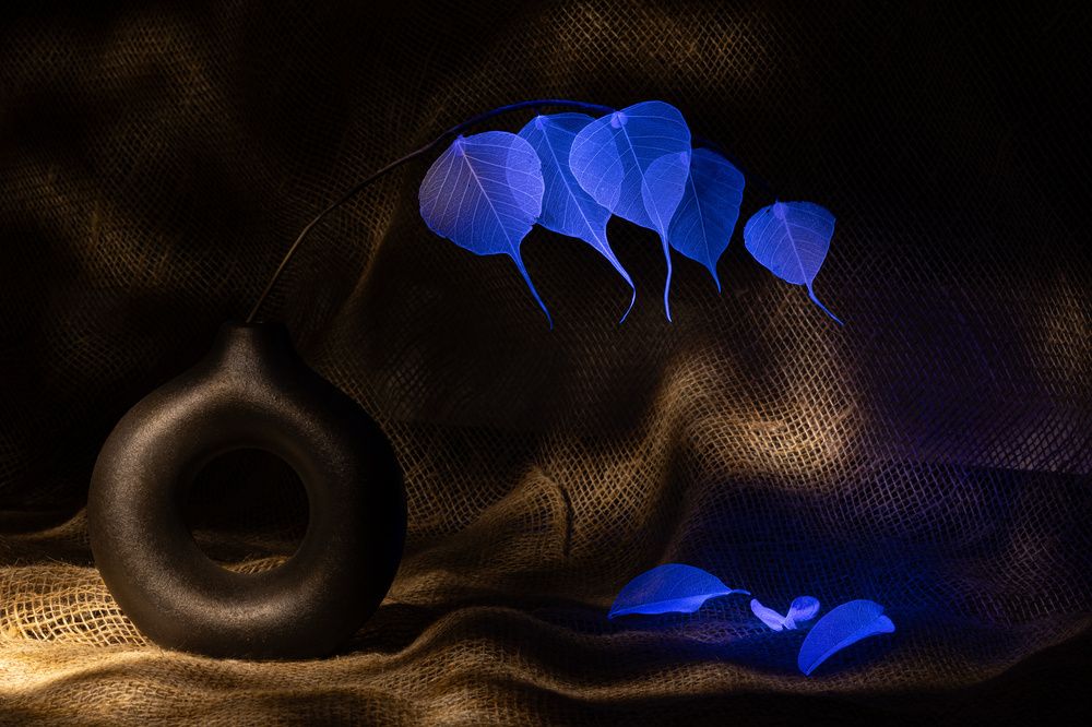 Photograph by Копцев Игорь