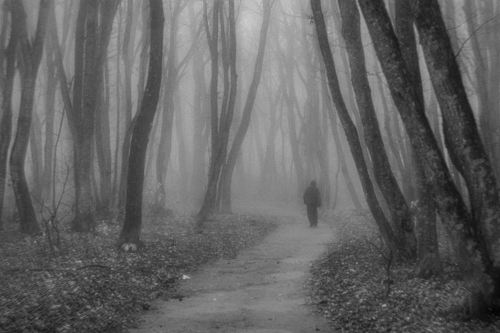 Photograph by Виталий Маслов