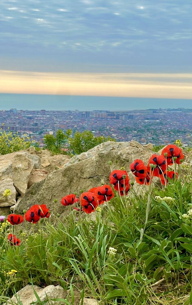 Photograph by Фарида Абакарова