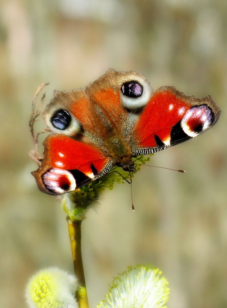 Photograph by Pavel Gukov