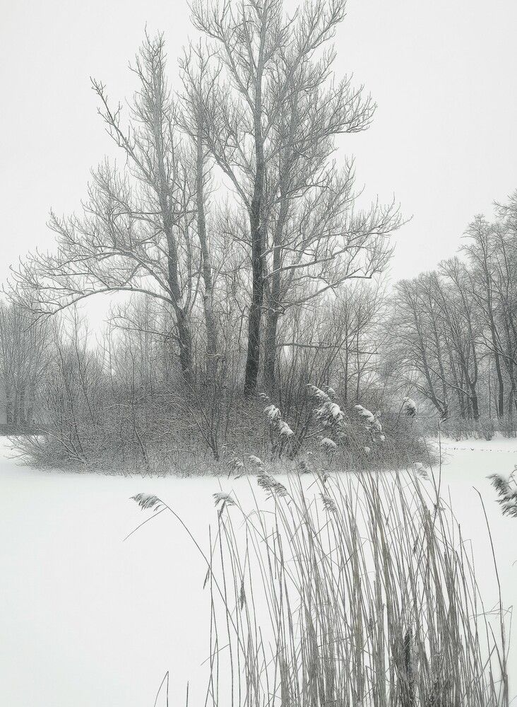 Photograph by Элина Виноградова