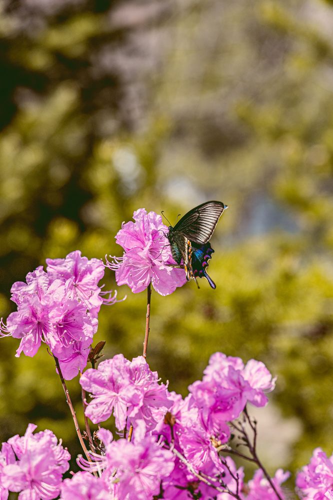 Photograph by Мария Герасименко