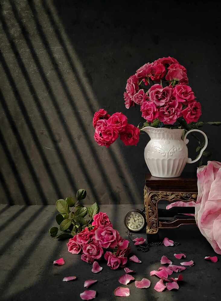 Photograph by Moon Moon Hossain