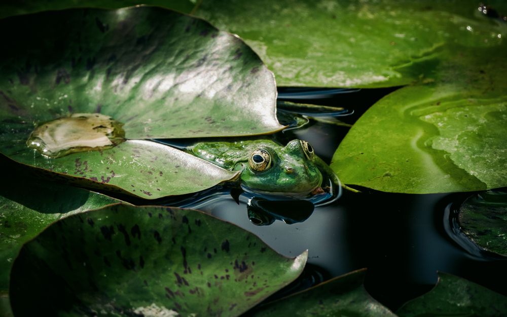 Photograph by Роман Кузнецов