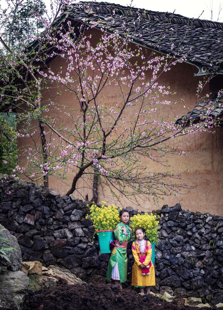 Photograph by Tuấn Nguyễn Tấn