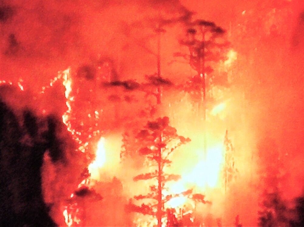 Photograph by Галина