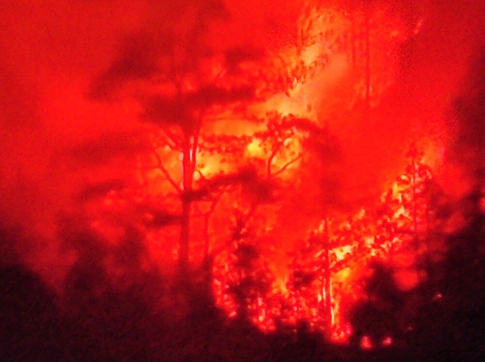 Photograph by Галина