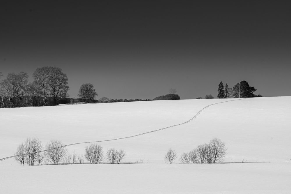 Photograph by Серёга Калабин