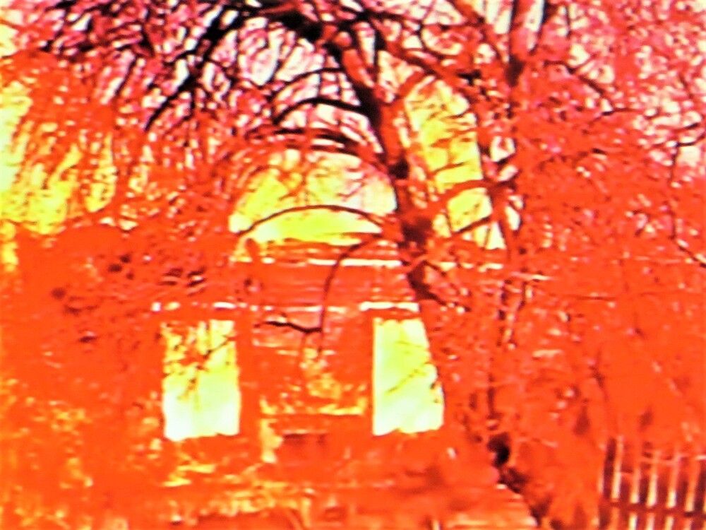 Photograph by Галина