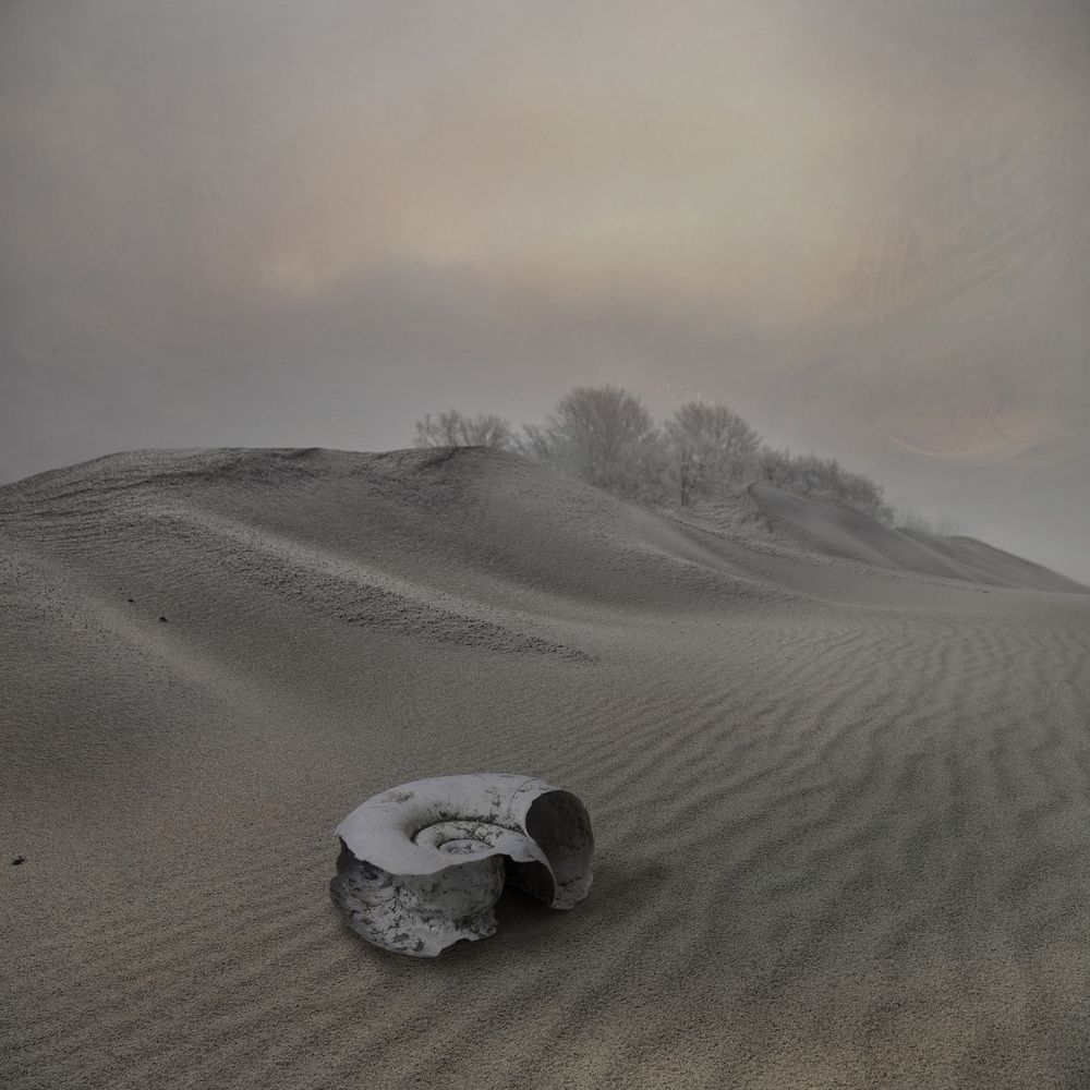 Фотография автора Виктор Кириллов