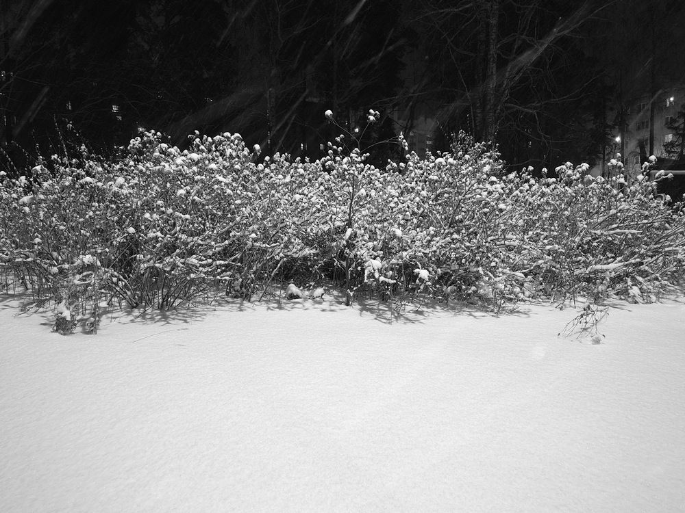 Photograph by Герасимов Игорь