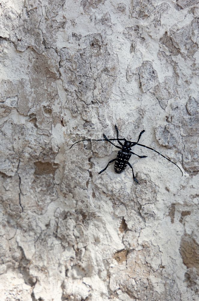 Photograph by Мария Герасименко