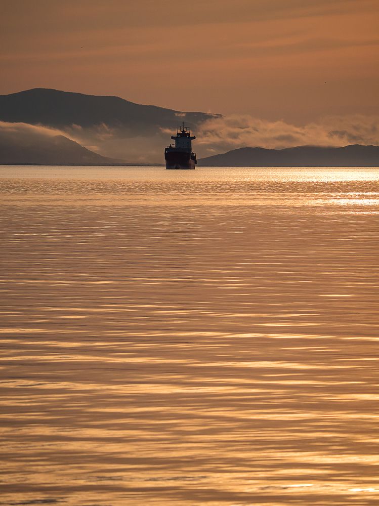 Photograph by Матвей Матвеев