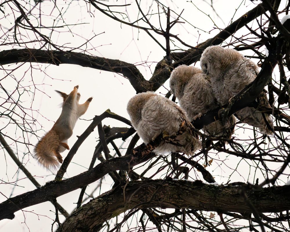 Инструктор