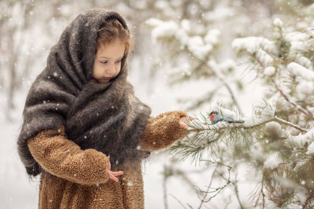 Фотография автора Шутенкова Евгения