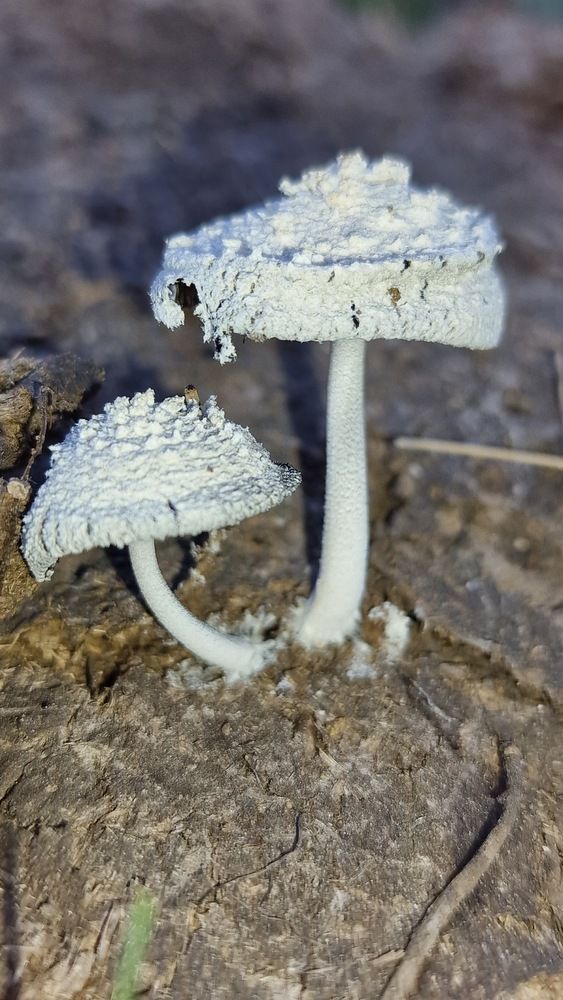 Фотография автора Юлия