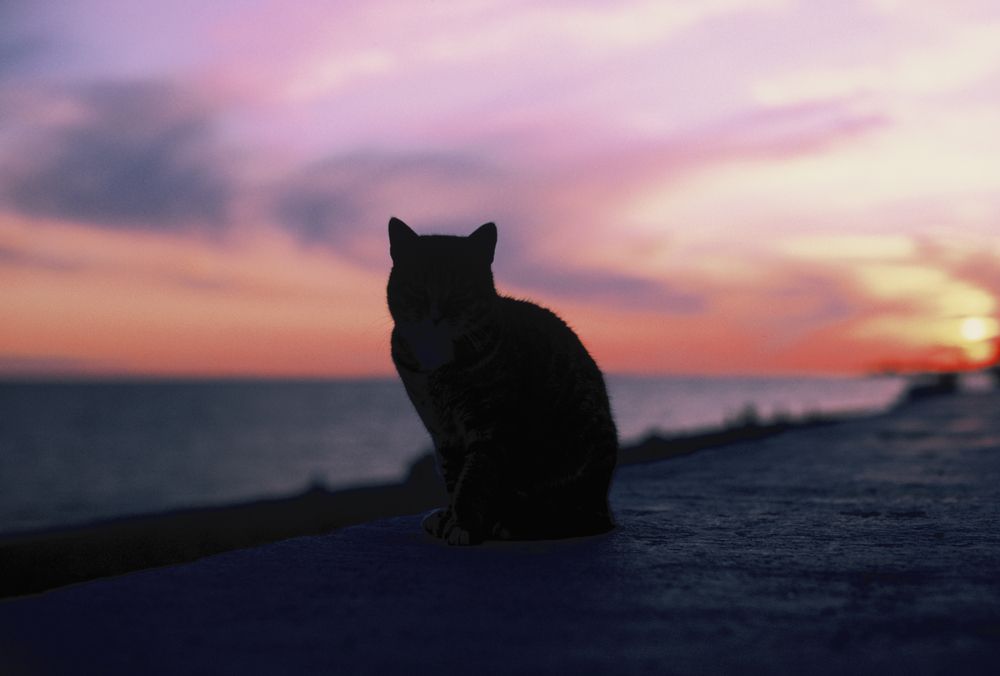 Photograph by Илья Шишков