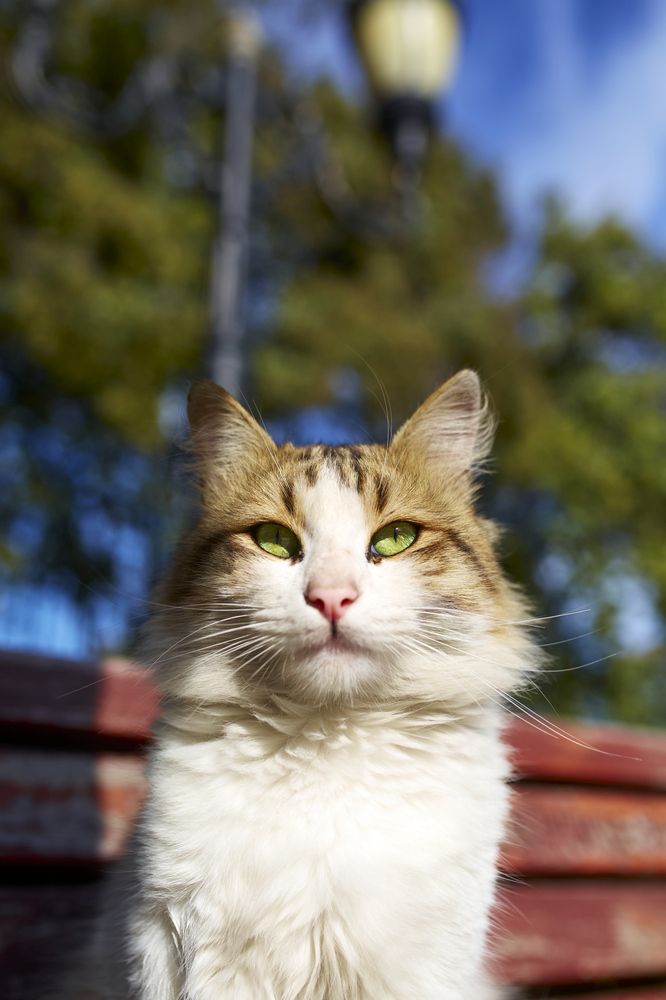 Photograph by Илья Шишков